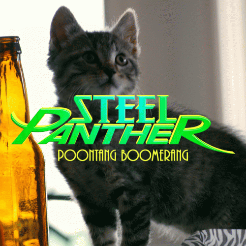 Steel Panther : Poontang Boomerang